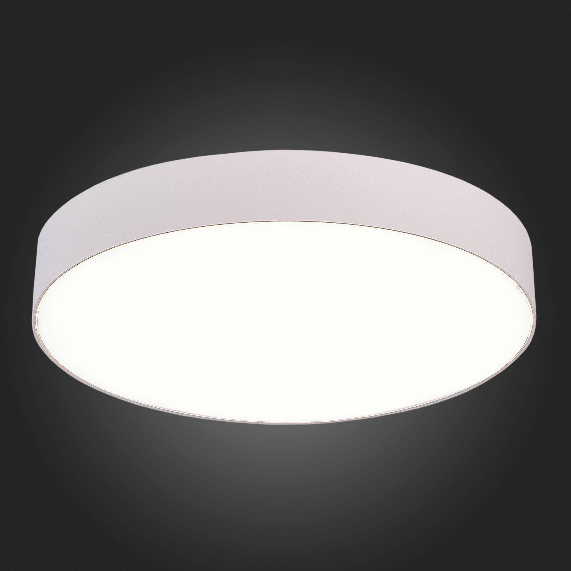 Потолочный светильник Белый LED 185-265V St Luce ST606.542.48