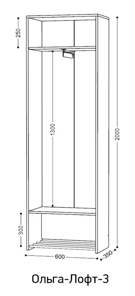 Шкаф 2-створчатый Ольга Лофт 3