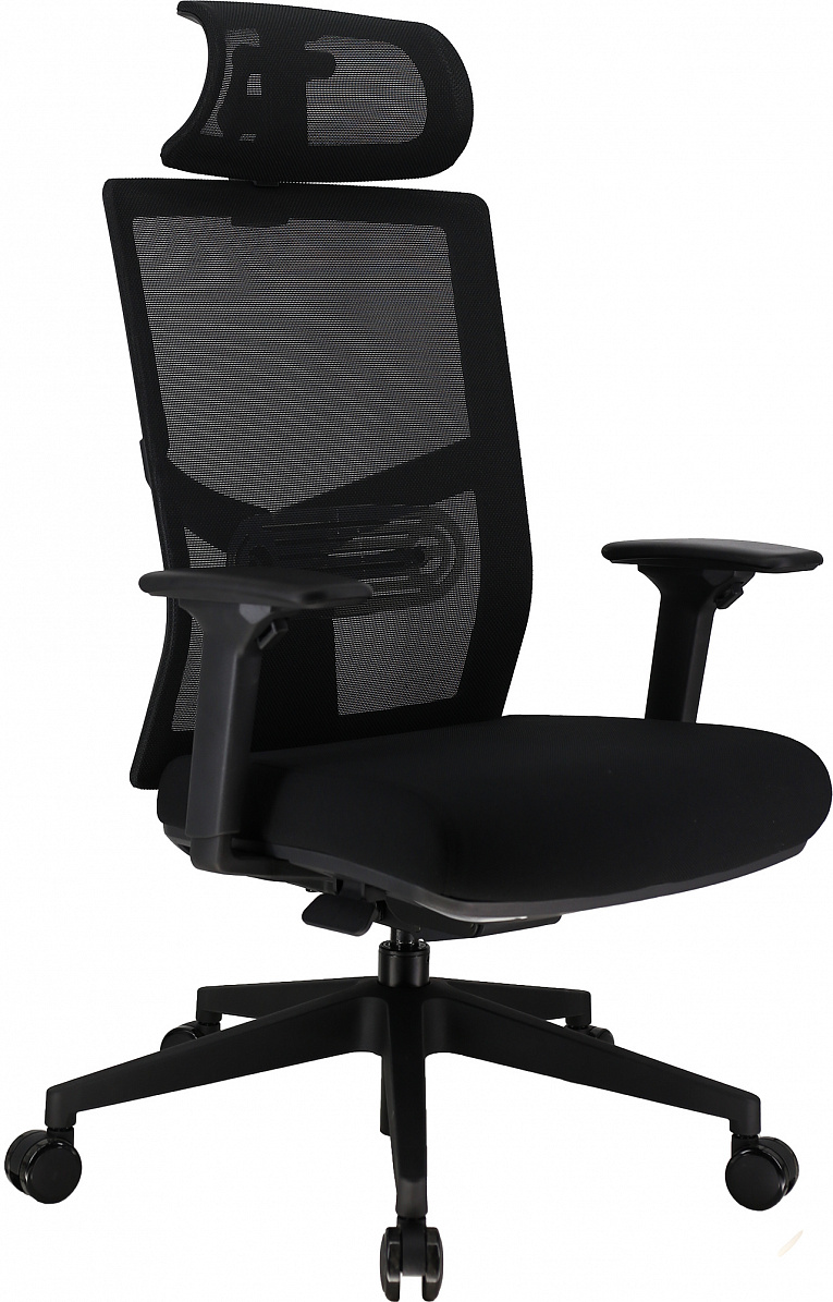 Эргономичное кресло Everprof Fuji / Фуджи Сетка Черный