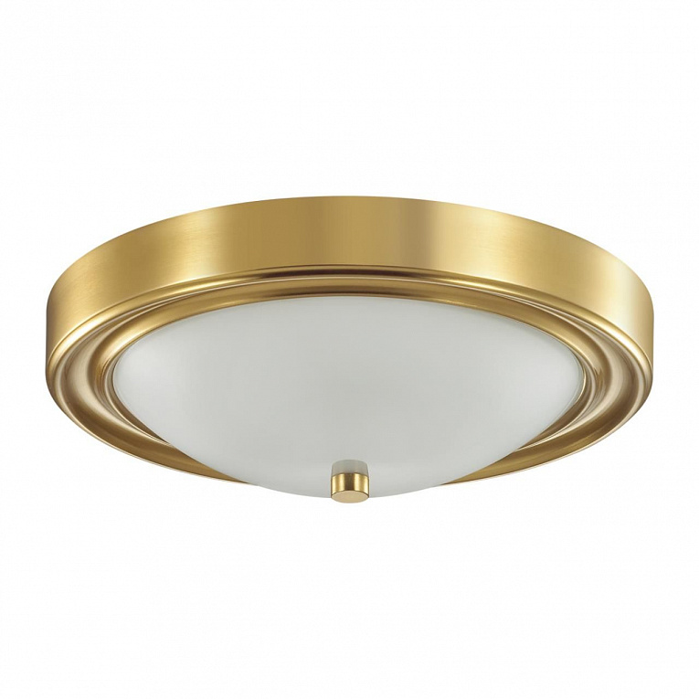 Потолочный светильник LUMION NINA 5259/2C